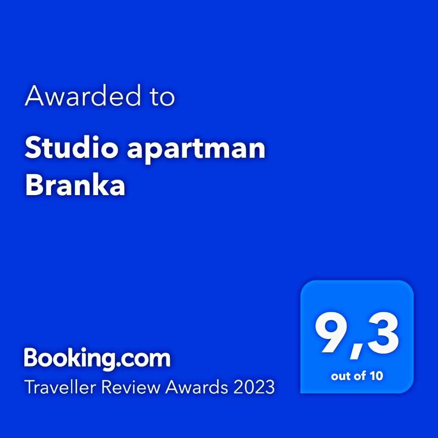 Studio Apartman Branka Лабин Екстериор снимка